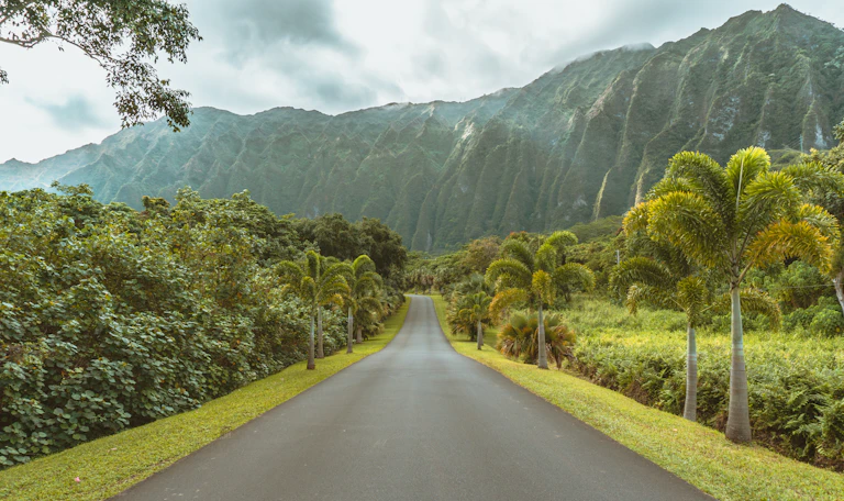 Green mountains at Hoomaluhia Botanical Garden in Kaneohe, Oahu