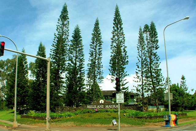Historical view of Mililani Mauka on the mountain side of H-2