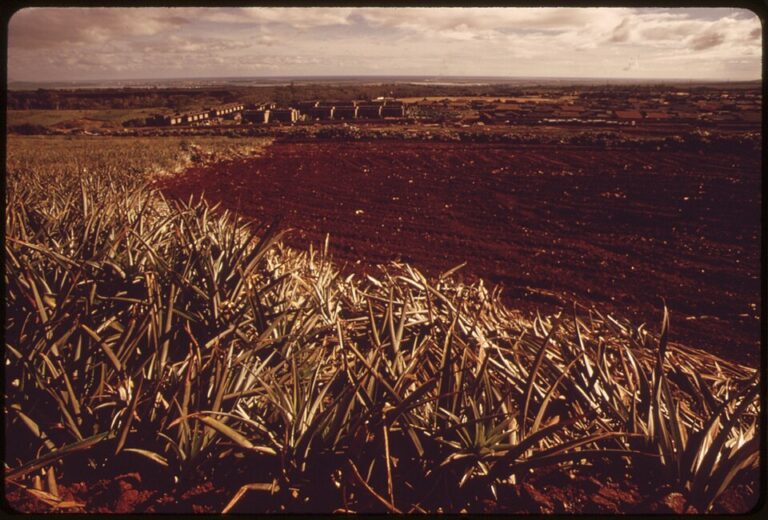 Historical aerial view of fields and development in Mililani Town in October 1973